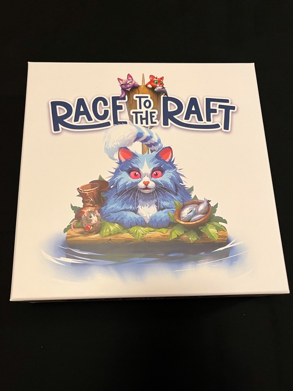 Race to the Raft board game